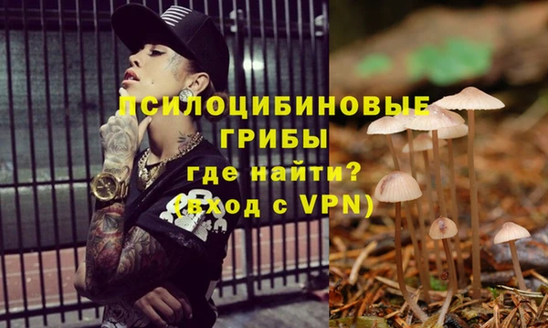МДПВ Балахна