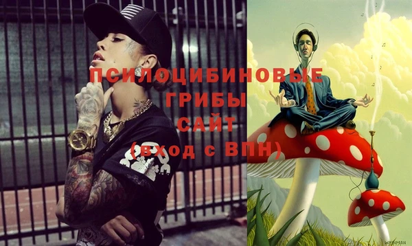 молекула духа Белокуриха