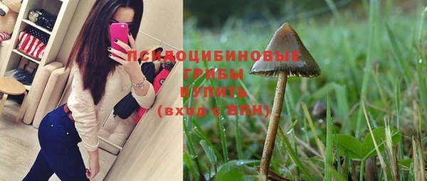 дмт Баксан