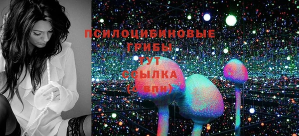 молекула духа Белокуриха