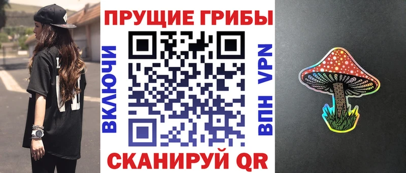 где можно купить   Полтавская  OMG как зайти  Галлюциногенные грибы Psilocybine cubensis 